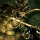 Illustration for article titled They Bought emDead Island: Riptide/em But Got emDark Souls/em Instead